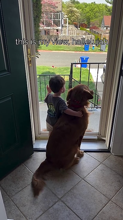 A mãe adora acompanhar a interação do menino com o golden.