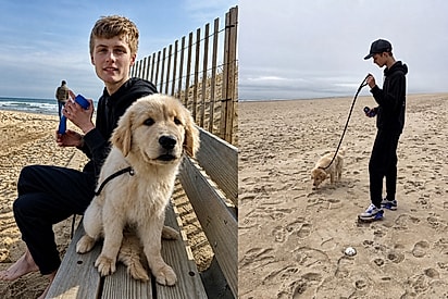 Golden retriever ajuda jovem autista a conquistar algo que antes parecia impossível.