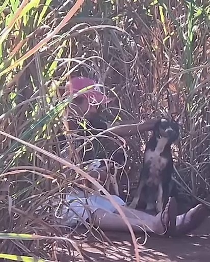 A dupla teve muita paciência para resgatar a mãe assustada.