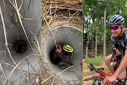 Ciclistas resgatam cadela de um buraco e animal surpreende família com gestação após adoção