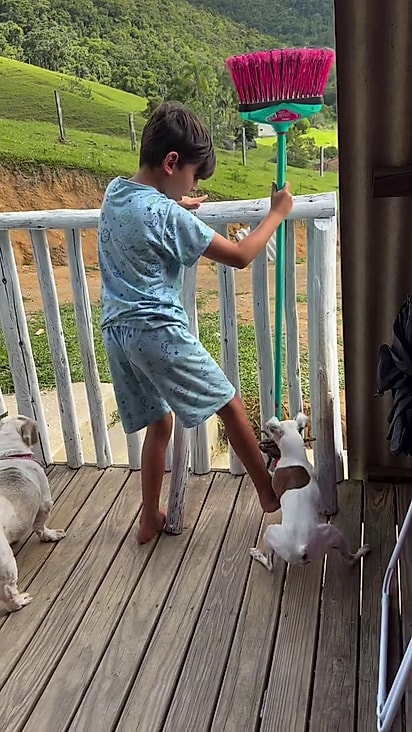 O menino não conseguiu segurar o cão.