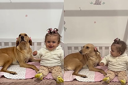 “Vocês sabem quem é quem?”: Mãe faz tutorial para as pessoas diferenciarem suas filhas gêmeas e pararem de confundi-las 