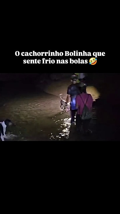 Ele impressiona os visitantes.
