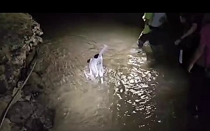 Bolinha criou seu próprio jeito de atravessar o pequeno rio.