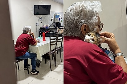 ‘Não gosto de gato’: mãe é flagrada ‘mordendo a língua’ sobre o que dizia sobre felinos e momento viraliza.