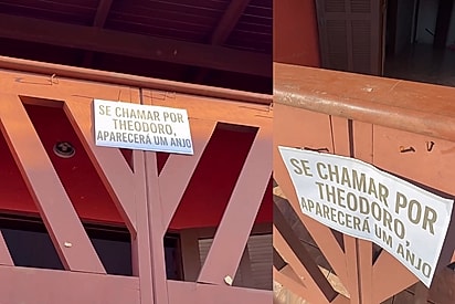 “Se chamar, ele aparece”: Golden vira atração em sacada após família colocar placa para alegrar quem passa.