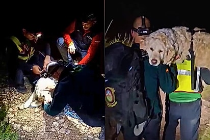 Bombeiros carregam cão exausto nos ombros após resgate em montanha na Espanha