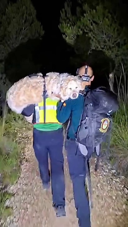A equipe se revezou para carregar o cão.