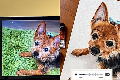 Artista representa pets na aquarela 
