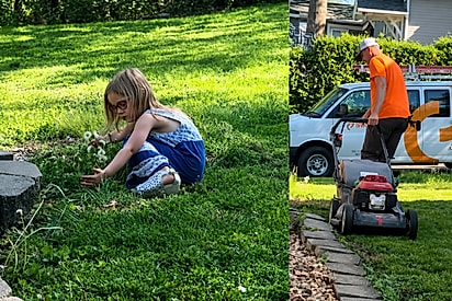 Ao ver o cortador de grama, menina abraça as florezinhas do jardim para protegê-las e gesto emociona mãe