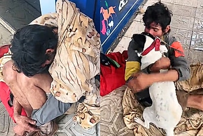 Morador de rua que foi visto chorando após perder sua cachorrinha conhece um anjo que a traz de volta e momento emociona
