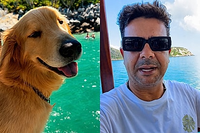 Turista reclama de golden em passeio de barco, mas internet sai em defesa do cão: “Ele é o dono”.