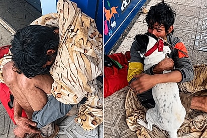 Morador de rua que foi visto chorando após perder sua cachorrinha conhece um anjo que a traz de volta e momento emociona