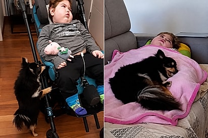 “O amor sempre vence”: Cachorrinha descobre a melhor forma de ajudar menino especial e gesto emociona família
