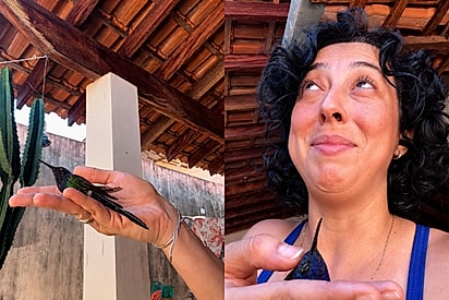 Janaia recebe três beija-flor em menos de 10 dias na sua casa