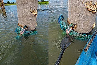 “Meu herói tem uma canoa azul”: pescador vê ‘pontinho azul’ agarrado a tronco e faz resgate emocionante.