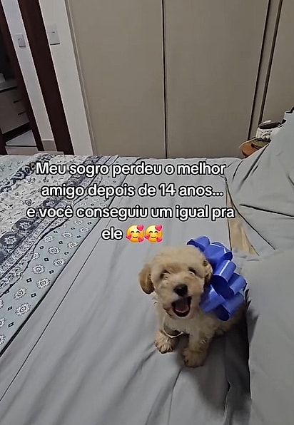 Juliana Benfica surpreendeu o sogro com um novo cachorro.