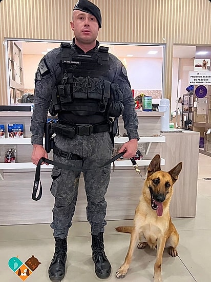 Athena foi a heroína que doou sangue para Ursa.