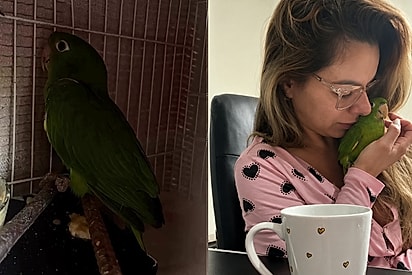 “Agora tudo é festa”: Ave que viveu presa no escuro desde que nasceu, esbanja felicidade ao descobrir o mundo