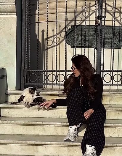 Os felinos são bem-vindos em todos os cantos da cidade. 