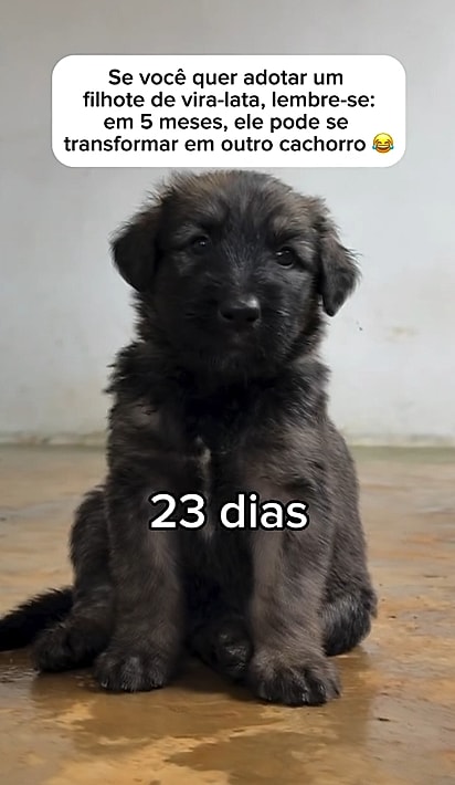 Athena com 23 dias de vida.