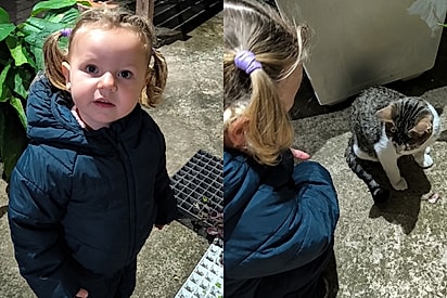 “Vou cuidar dele”: menina apaixonada por animais tenta convencer mãe a levar gatinho para casa.