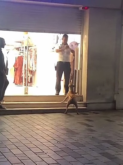 O segurança encheu uma luva de borracha para fazer um novo balão.