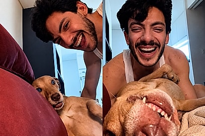 Não quero cachorro em cima do sofá: vira-lata caramelo amolece coração de tutor e relato viraliza na web.