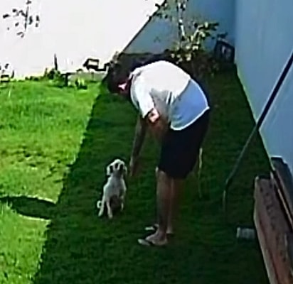 Não demorou para o cachorrinho confiar em Irineu.
