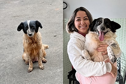 “O sorrisão dela diz tudo”: vira-latinha ignorada em feirinha de adoção finalmente encontra uma família.