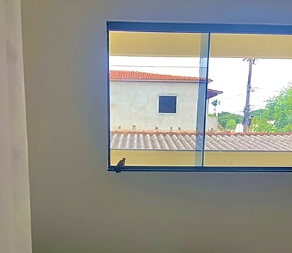 Quando a ave já estava pronta, o casal entendeu que era hora de deixá-la seguir seu caminho.