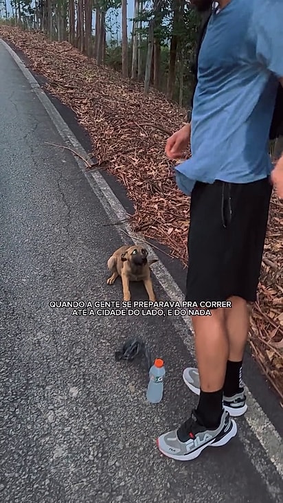 O cão pareceu sentir que precisava acompanhá-los.