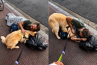 “Ninguém é invisível para ele”: golden consola homem em situação de rua na calçada e cena emociona a internet.