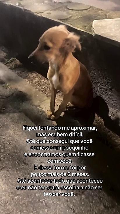 Mesmo assustado ele parecia entender que a família poderia ajudá-lo.