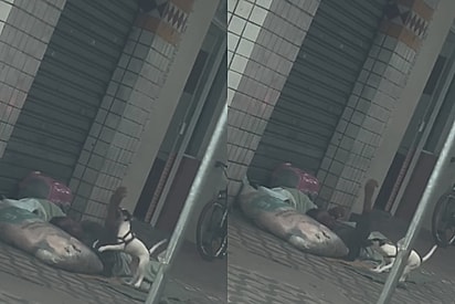 De longe moça registra como morador de rua cuida do seu cachorrinho e cena chama a atenção