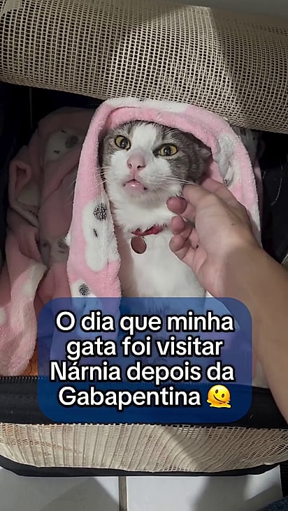 Mesmo com baixa dosagem a felina teve efeito colateral.
