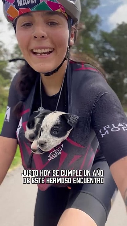 Todos foram resgatados e levados para a casa de Andrea.
