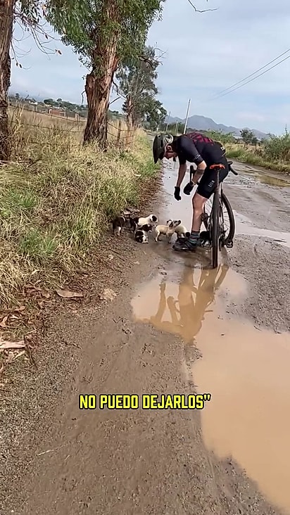 O amigo de Andrea que pedalava junto adotou um macho.