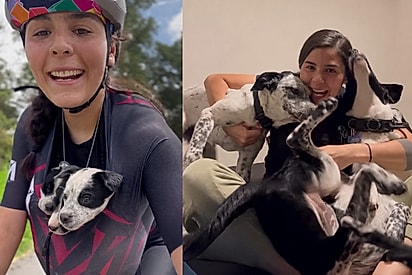 Ciclista encontra filhotes abandonados, decide por impulso ficar com todos, e gesto muda sua vida para sempre