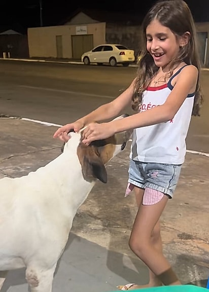 A menina se encantou pelo cão.