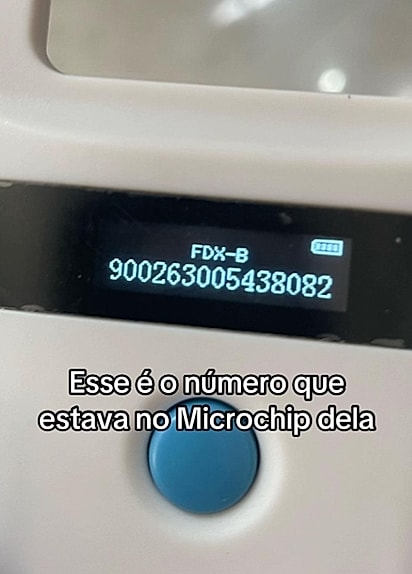 Sol possui microchip.