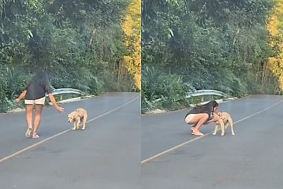 Não estava nos planos encontrarem ela no caminho, mas foi impossível deixar ela lá