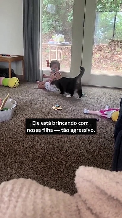 A felina não é agressiva com ninguém da família.