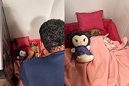 Carinho de tutor com seu pet chama atenção em video nas redes
