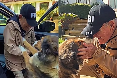 O Alzheimer apagou os nomes, mas não apagou o amor: avô reconhece seu cão e melhor amigo, Campeiro, e cena emociona