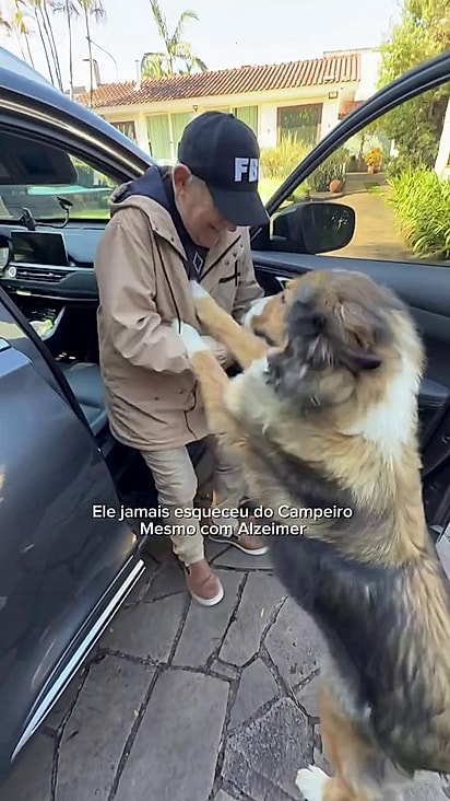 Campeiro ficou muito feliz em rever o tutor.
