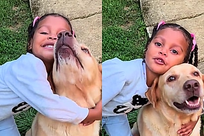 “Minha filha já tem uma melhor amiga”: Menina de três anos e cadela labrador chamam atenção com rotina de companheirismo