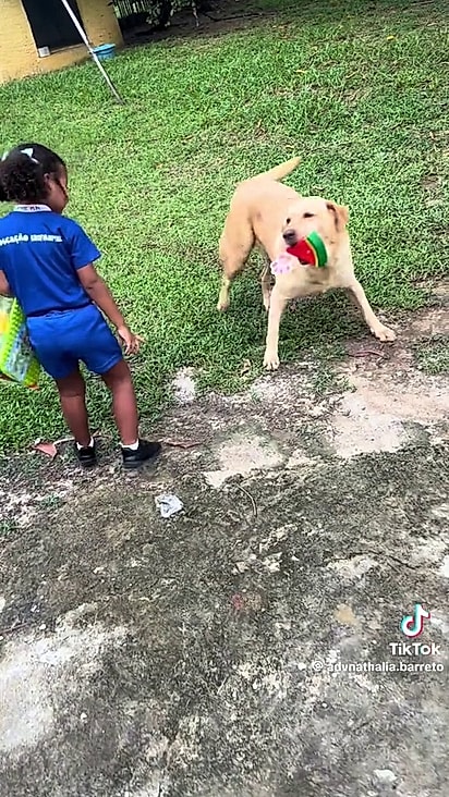 Mel esperava a menina chegar da escola para brincarem.