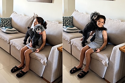 “Ela é minha”: Cachorro escolhe menina como humana favorita e reação quando ela sai derrete a internet.