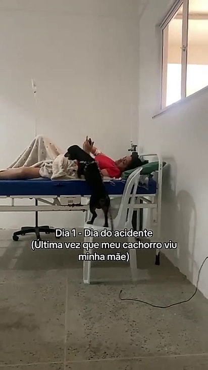 O cão visitou Maria no hospital antes da cirurgia.